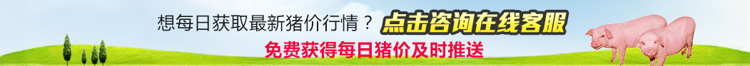 生豬價格今日豬價推送