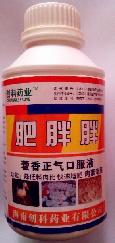 肥胖胖
